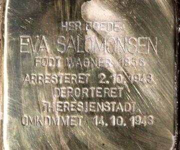 A Stone for Eva - The Life and Times of Eva Salomonsen, 1855-1943